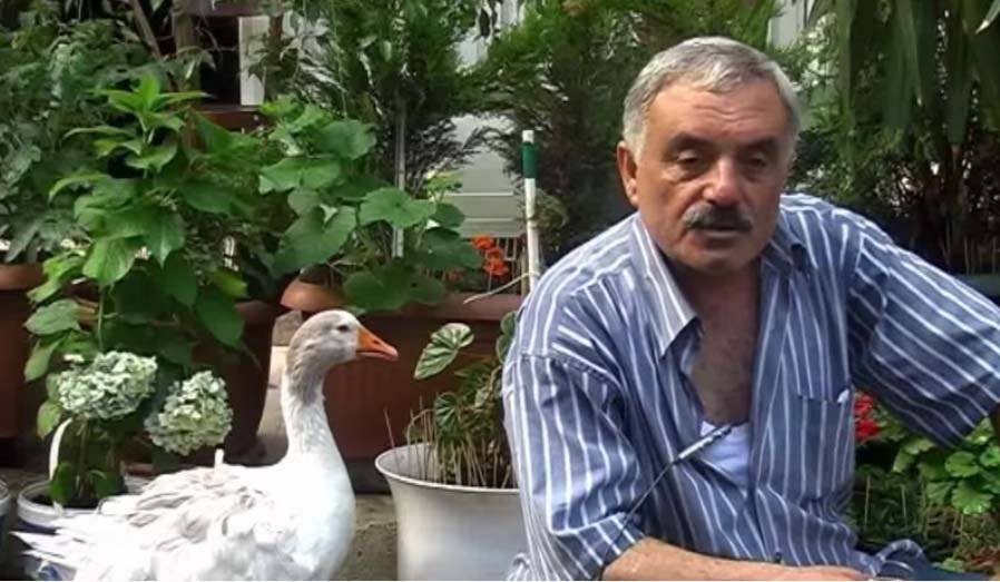 Rodi ve sahibi Nimet Köseoğlu, saksı bitkilerinin arasında